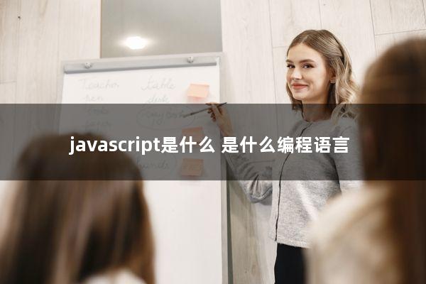 javascript是什么（是什么编程语言）